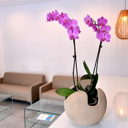 Island Dreams Rooms & Suites 2* Rhodes City