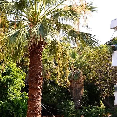 Island Dreams & Rhodes City